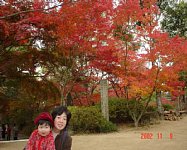 dsc00238.jpg