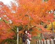dsc00243.jpg