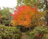 dsc00248.jpg