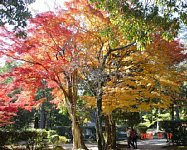 dsc00307.jpg