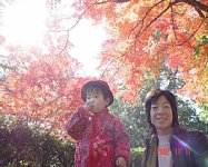 dsc00308.jpg