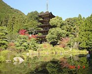 dsc00318.jpg