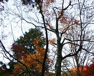 image020.jpg